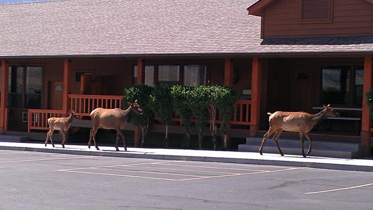 Yellowstone Village Inn And Suites การ์ดีเนอร์ ภายนอก รูปภาพ